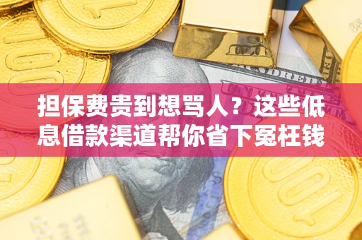 济南担保费贵到想骂人？这些低息借款渠道帮你省下冤枉钱