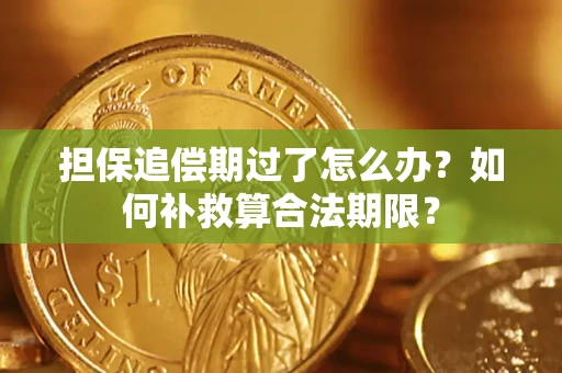 济南担保追偿期过了怎么办？如何补救算合法期限？