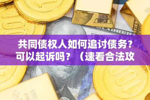 济南共同债权人如何追讨债务？可以起诉吗？（速看合法攻略）